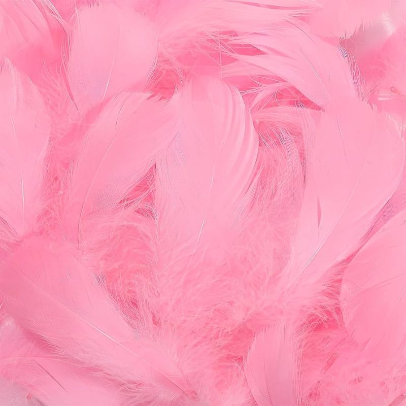 Photo 1 of 100 Pieces PINK Goose Feathers for Craft, Bulk Colored Feather 3-5Inch Goose Feathers for DIY Craft Projects Festivals Weddings Birthday Party Decor 100pcs PINK