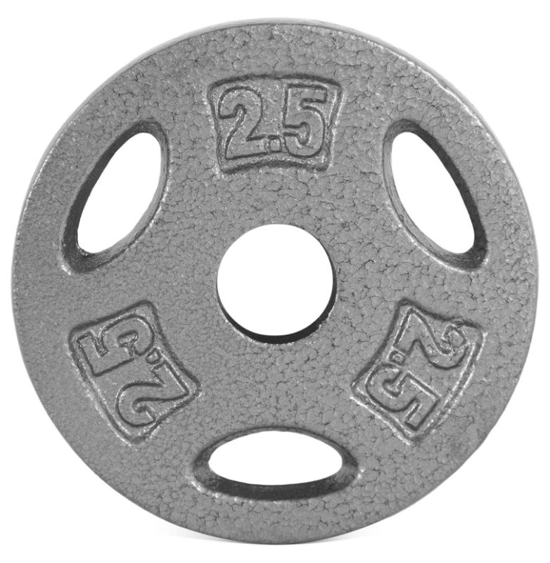 Photo 1 of 1-Inch Standard Grip Weight Plates pair 2 for Strength Training, Charcoal or Gray Color 