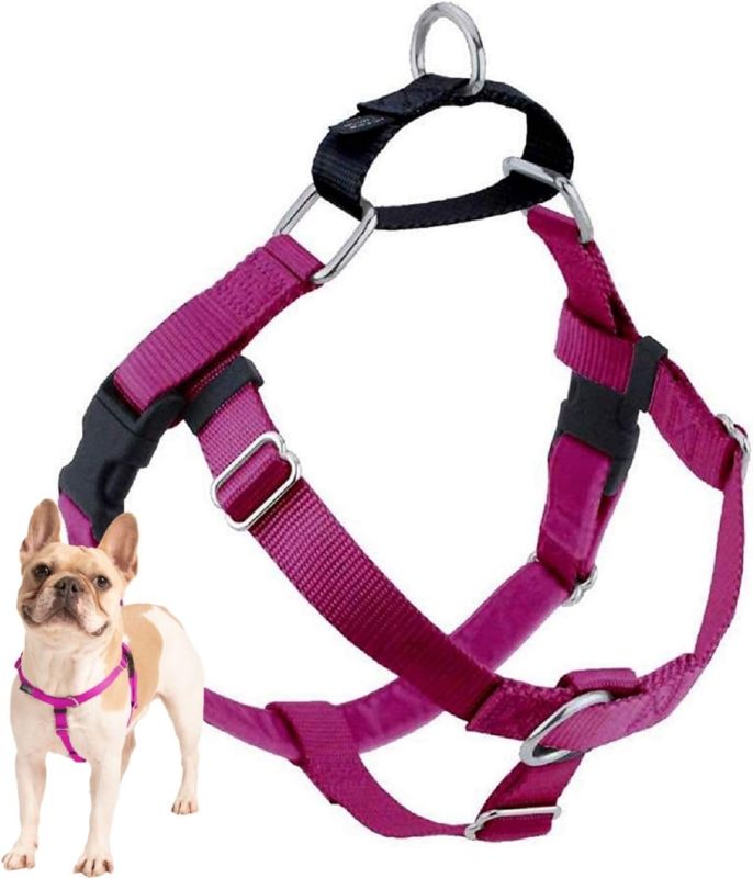 Photo 1 of 2 Hounds Design Freedom No Pull Dog Harness | Comfortable Control for Easy Walking |Adjustable Dog Harness and Leash Set | Small, Medium & Large Dogs | Made in USA | Solid Colors | 1" MD Raspberry