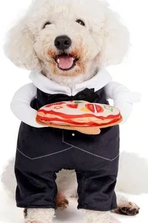 Photo 1 of 
Cyeollo Dog | Dog Pizza Waiter Costume Cosplay Small Nwt | Color: Black/White 