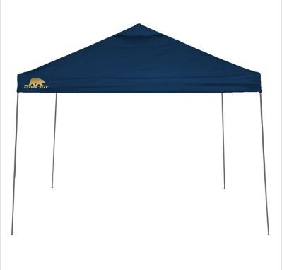 Photo 1 of **MISSING COVER // FRAME ONLY** Golden Bear Coronado 10'x10' Straight-Leg Canopy
