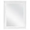 Photo 1 of 
Home Decorators Collection
24 in. W x 30 in. H Rectangular Aluminum Medicine Cabinet with Mirror