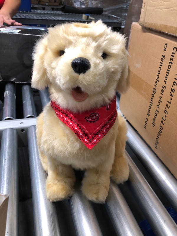 Photo 4 of [READ NOTES]
JOY FOR ALL Ageless Innovation Companion Pets Golden Pup Lifelike & Realistic