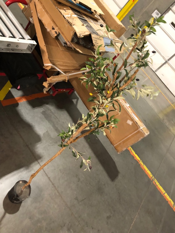 Photo 4 of ***DAMAGED - BRANCH BROKEN OFF - POT DAMAGED - SEE PICTURES - NO PACKAGING***
Faux Olive Tree 6ft?Olive Trees Artificial Indoor with Natural Wood Trunk and Realistic Leaves and Fruits. 6 Feet(72in) Fake Olive Tree for Home House Office Décor.