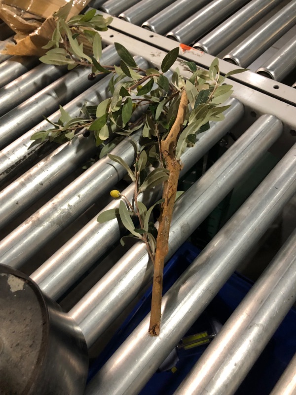 Photo 6 of ***DAMAGED - BRANCH BROKEN OFF - POT DAMAGED - SEE PICTURES - NO PACKAGING***
Faux Olive Tree 6ft?Olive Trees Artificial Indoor with Natural Wood Trunk and Realistic Leaves and Fruits. 6 Feet(72in) Fake Olive Tree for Home House Office Décor.