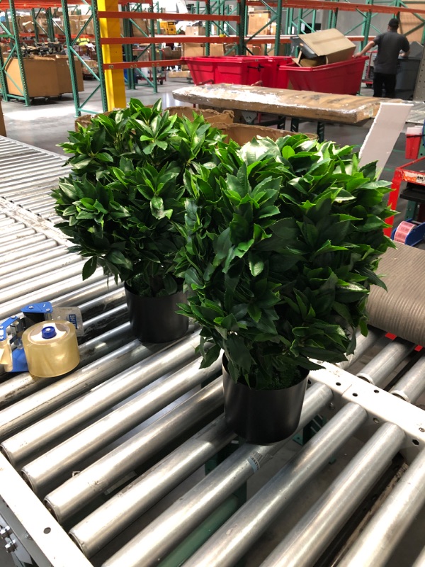 Photo 2 of (READ FULL POST) 20" Outdoor Evergreens in Outdoor Artificial Shrub Potted Plant Plant for Indoor Porch of Home and Office 2 Pieces a Set Topiary Trees Faux Boxwood