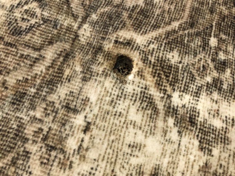 Photo 3 of ***DAMAGED - TWO LARGE BURN MARKS - SEE PICTURES - NO PACKAGING - DIRTY***
Loloi Magnolia Home by Joanna Gaines x Sinclair Pebble/Taupe 7'-6" x 9'-6" Area Rug Pebble / Taupe 7'-6" x 9'-6"