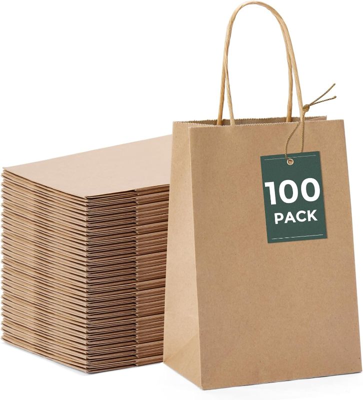 Photo 1 of 
GSSUSA 100 Pack Paper Gift Bags 5.25x3.75x8'' Small Paper Bags with Handles Bulk, Brown Kraft Paper Bags for Small Business, Sturdy Grocery Retail