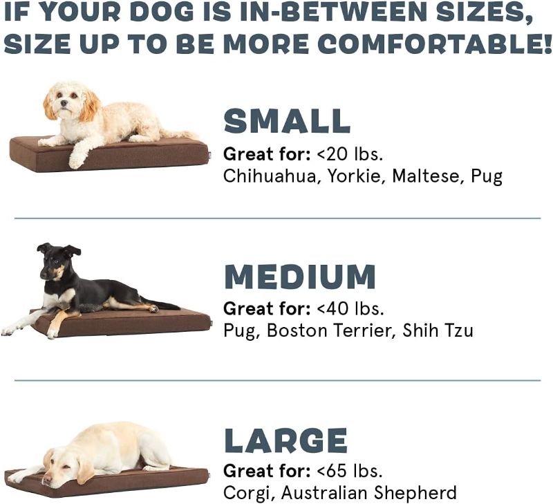 Photo 4 of (READ FULL POST) Barkbox Orthopedic Dog Bed | Comfortable Memory Foam Mattress for Joint Relief | Head and Neck Support Waterproof with Non Skid Bottom | Calming Durable Bed with Washable Cover | Medium, Espresso
