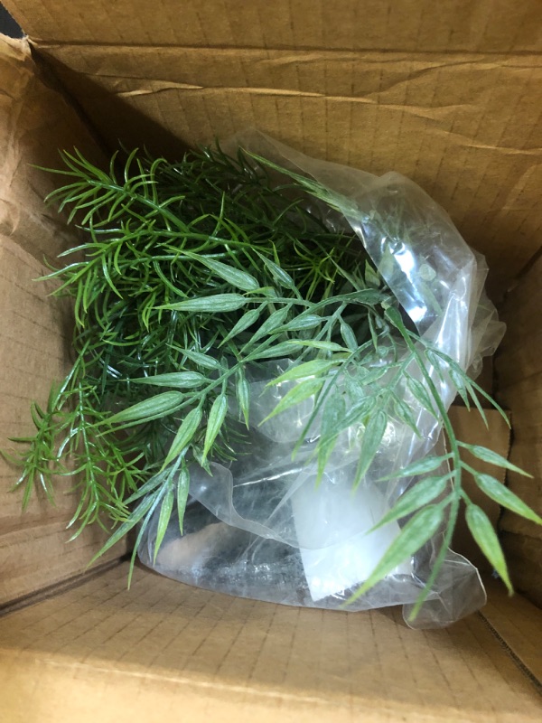 Photo 1 of 15" Natural Green Plant with Decorative Resin Base, Small