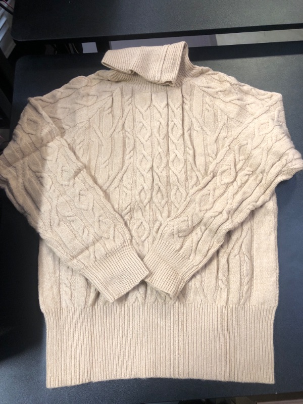 Photo 1 of Beige Turtleneck Sweater Medium 