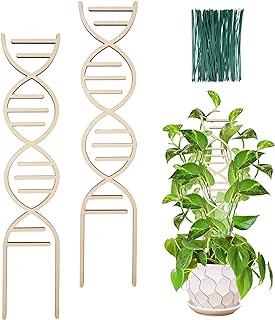 Photo 1 of 16 Inch Indoor Plant Trellis For Climbing Plants,Small Wooden Trellis For Potted Plants,With Moisture-Proof Layer Plant Stakes For Indoor Plants Accessories Hoya,Flower,Monste (Chromosome Trellis-2pk) https://a.co/d/hD2VlfC