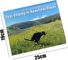 Photo 1 of 2024 Wall Calendar-Dog Pooping Calendar, Monthly Calendar Planner,Thick & Sturdy
