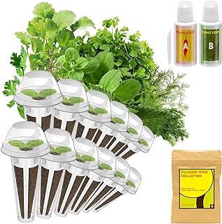 Photo 1 of Lykoclean  Hydroponic Seeds for aero Hydroponics Growing System,Seed Pod Kits for Basil, Parsley, Oregano, Thyme, Mint, Cilantro, and Dill (12-Pod) 12-pod Herb
