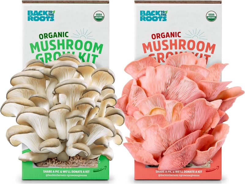 Photo 1 of 
Back to the Roots Organic Mushroom Grow Kit - Oyster and Pink Mushroom 2-Pack Variety - Indoor Non-GMO Growing Kit - Produces 3-4 Servings and Grows in 10 Days