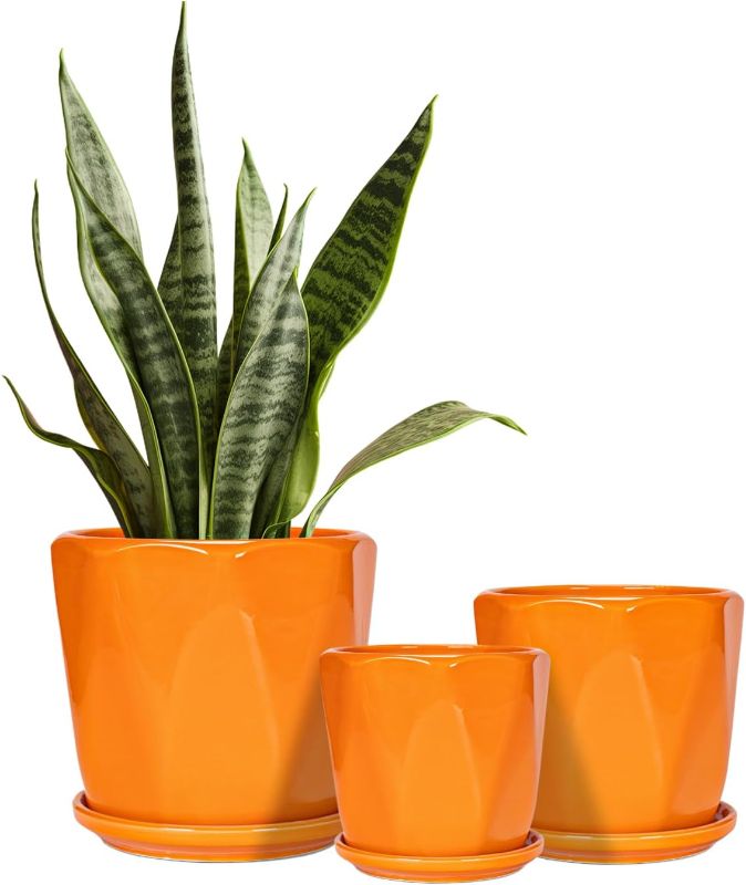 Photo 1 of 
Sin wings Ceramic Plant Pots, 6.5 + 5.5 + 4.5 Inch Octagon Pots for Plants, Flower Planters for Indoor with Drainage and Saucer Set of 3, Bright Orange
Color:Orange
Size:Set of 3