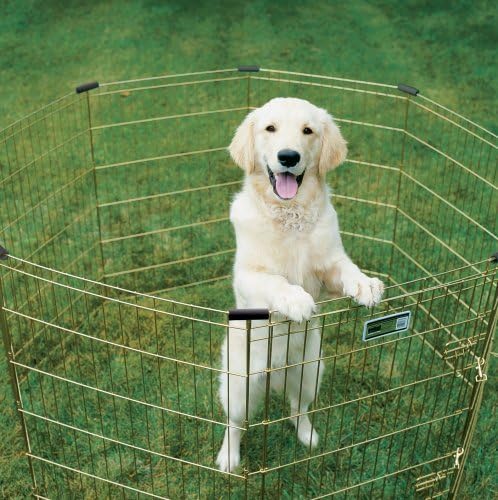 Photo 1 of (READ FULL POST) MidWest Homes for Pets Foldable Metal Dog Exercise Pen / Pet Playpen, Gold zinc w/ door, 24'W x 42'H Gold Zinc w/ Door 42" H