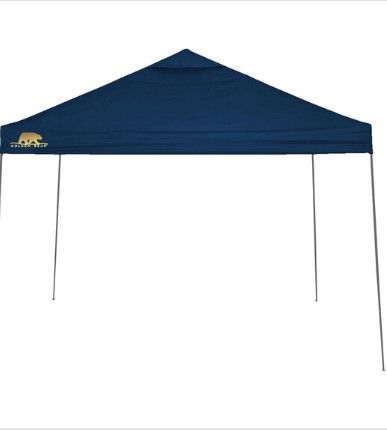 Photo 1 of ****HAS NO BOX *** Golden Bear Coronado 10'x10' Straight-Leg Canopy 
