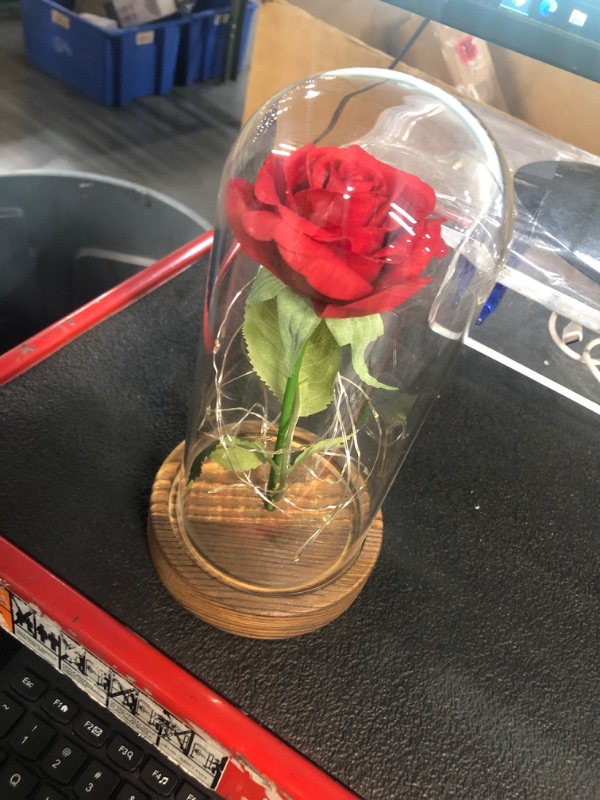 Photo 2 of ***BATTERY POWERED*** SW Preserved Rose Enchanted Rose Red Silk Rose in Glass Dome with LED Lights Pine Base, Romantic Home Decor Gifts for Mom Women Valentines Day Christmas Mothers Day Wedding Anniversary Birthday