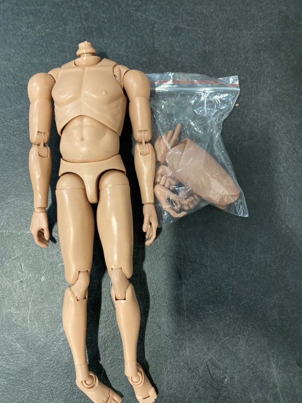 Photo 2 of 1/6 Scale Action Figures for Custom Asian/Europe Skin Muscular Muscle Male Figure Body (MX02-B)