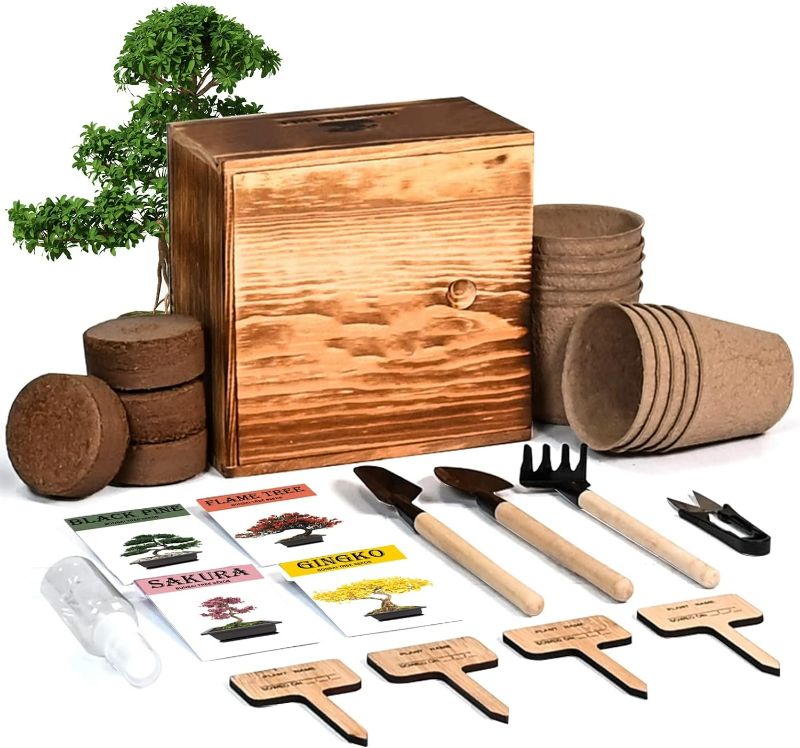 Photo 1 of 4 Bonsai Tree Seeds with Complete Growing Kit & Wooden Planter Box, Indoor Bonsai Tree Starter Kit, Great Potted Plants DIY Gift for Adults