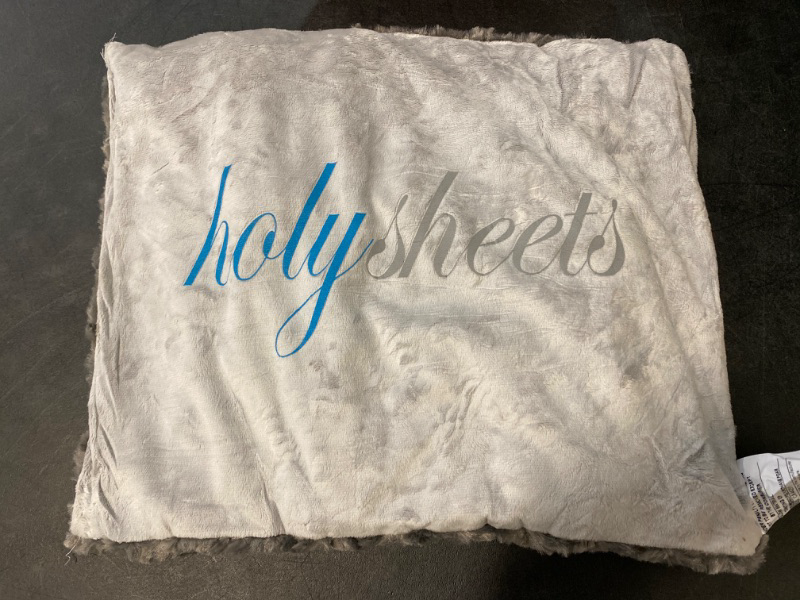 Photo 1 of Holy Sheets High End Flat Pillow