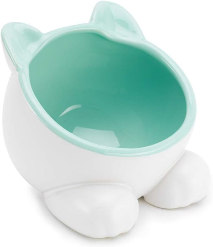 Photo 1 of Raised Ceramic Cat Water Food Big Head Bowl Dish, Tilt Angle Protect Cat's Spine, Stress for Cat (Teal)