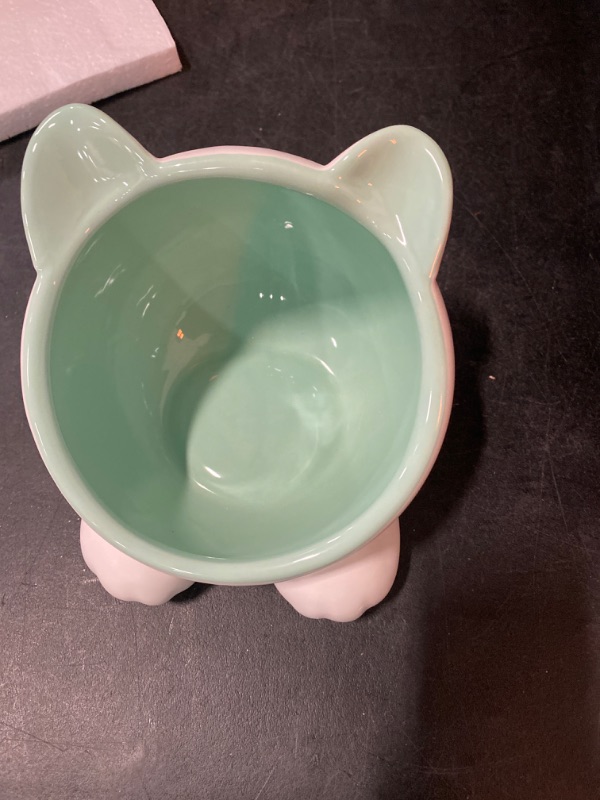 Photo 2 of Raised Ceramic Cat Water Food Big Head Bowl Dish, Tilt Angle Protect Cat's Spine, Stress for Cat (Teal)