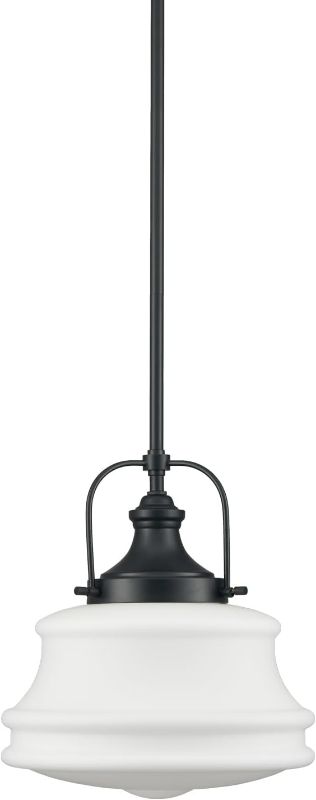 Photo 1 of Industrial Pendant Light Fixtures Black Schoolhouse Hanging Adjustable Light for Kitchen Island