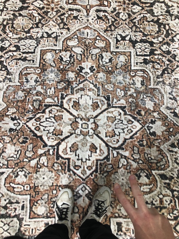 Photo 2 of *****STOCK IMAGE FOR SAMPLE****
Superior Large Indoor Area Rug, Modern Floor Decor, Living/Dining Room, Kitchen, Office, Distressed Geometric, Floral Medallion, Cotton Backing, Elodie Collection, 10' x 14', Beige Brown 