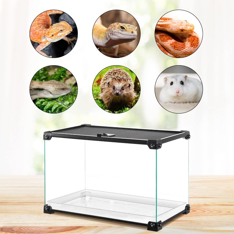 Photo 1 of  10 Gallon Glass Reptile Tank, 20" x 10" x 12" Reptile Terrarium Cage with Opening Top Mesh Reptile Enclosure for Lizards, Frogs, Turtle, Spiders, Hamster Hedgehog Reptile Small Animals