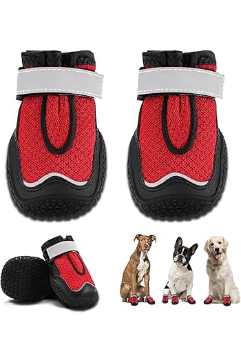 Photo 1 of (READ FULL POST) Hcpet Dog Boots Breathable Dog Shoes for Hot Pavement, Heat Resistant Dog Booties with Reflective Straps, Puppy Outdoor Paw Protectors with Rubber Soles for Hiking and Running Black Size 6
