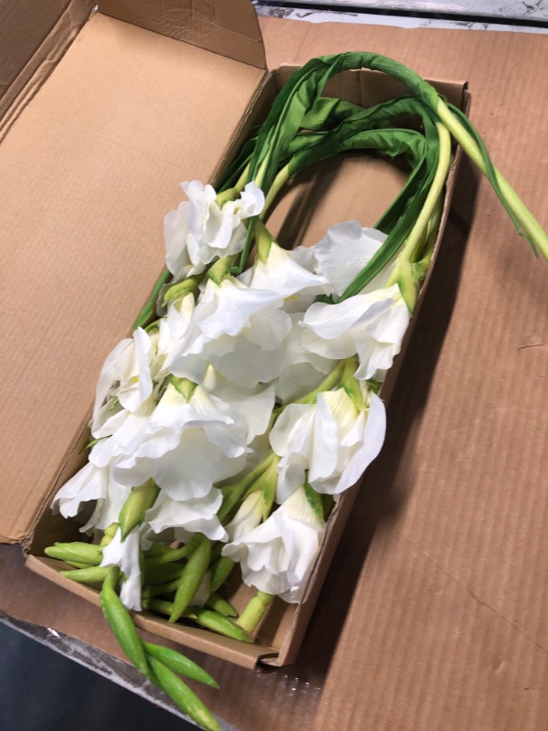 Photo 2 of *****STOCK IMAGE FOR SAMPLE*****
5PCS Gladiolus Artificial Flowers 35.82in White Gladiolus Flowers Silk Long Artificial Flowers for Wedding Party Baby Shower Centerpieces Bridal Bouquet Decor(White) Pure White