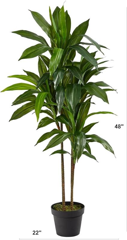 Photo 1 of Nearly Natural Real Touch Leaves Artificial Dracaena Plant, 4ft, Green
