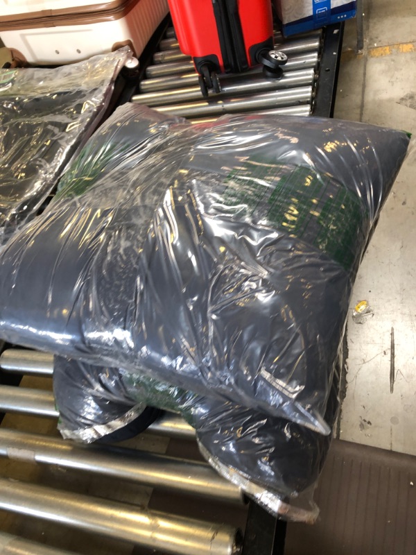 Photo 1 of 2 BED PILLOWS