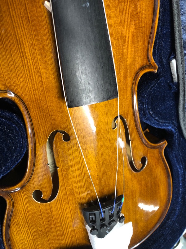 Photo 3 of **Minor damage needs string replacement** 
Stentor, 4-String Violin, Brown (1500 1/2)