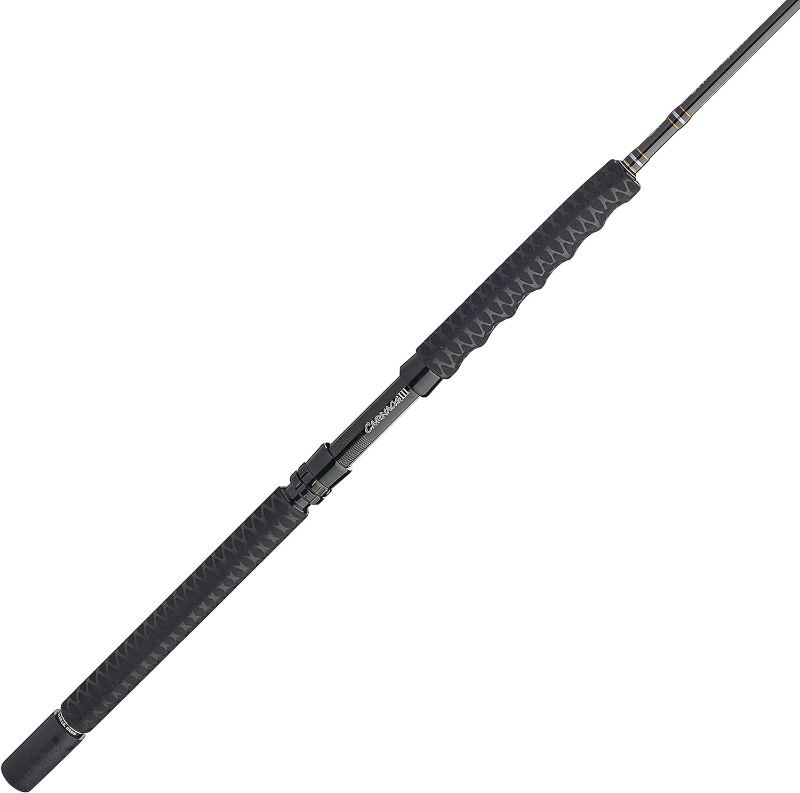 Photo 1 of 
PENN Carnage II & Carnage III Boat Conventional Fishing Rod