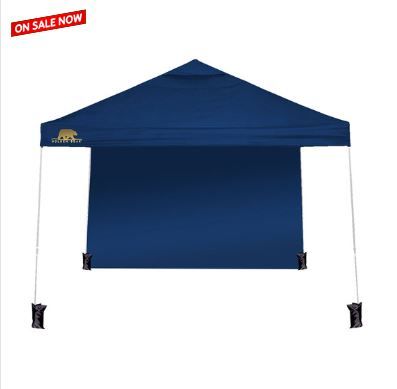 Photo 1 of (READ FULL POST) Golden Bear Newport 10'x10' Straight-Leg Canopy with Wall
