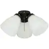 Photo 1 of 
Hampton Bay
3-Light Oil Rubbed Bronze Ceiling Fan Shades LED Light Kit