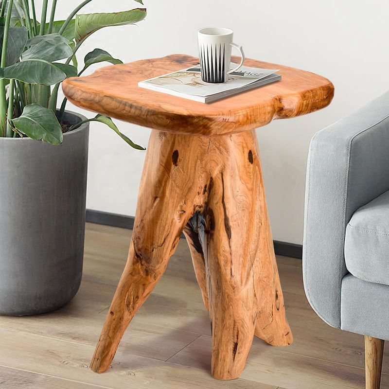 Photo 1 of 
Photo for reference Only**HOEGMST Mushroom Side Table, 18.9 inch Tall Live Edge Wood Stool, Freeform Natural Plant Stand for Garden, Yard, Living Room, Bedroom
Size:14.2"D x 13.8"W x 18.9"H