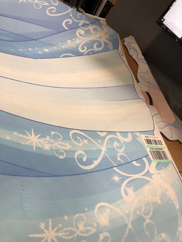 Photo 1 of Advanced Graphics Cinderella (Disney Princess Friendship Adventures) 64" x 45"
