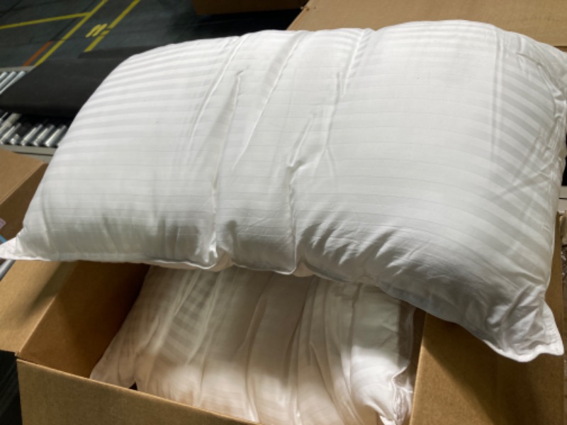 Photo 1 of 2 pack of queen size white pillows 