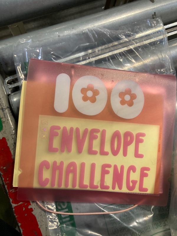 Photo 1 of 100 envelope challenge