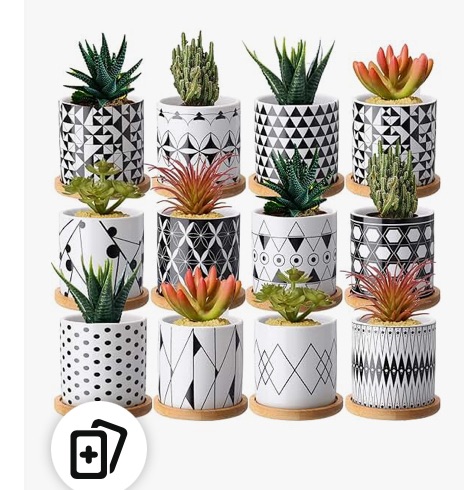 Photo 1 of 
Cindeer 12 Pcs Succulent Pots