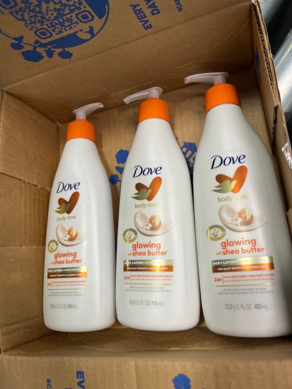 Photo 2 of Dove Body Love Pampering Body Lotion Shea Butter Pack of 3 for Silky, Smooth Skin Softens & Smoothes Dry Skin 13.5oz 1 Count (Pack of 3)