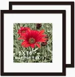 Photo 1 of 16x16 Picture Frame Black 3 Pack Solid Wood for Mat 12x12 Wall Mounting Square Poster Photo Frames
