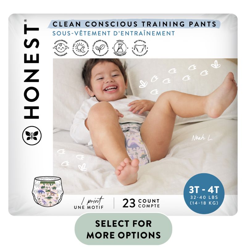 Photo 1 of The Honest Company Disposable Training Pants