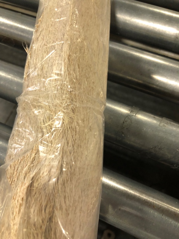 Photo 1 of 10pcs 40'' Tall Natural Dried Pampas Grass - Elegant Fluffy Pampas Grass for Floor Vase - Beige Pampas Grass Decor Tall - Boho Wedding Decor - Boho Home Decor Dried Flowers 40 inch 10
