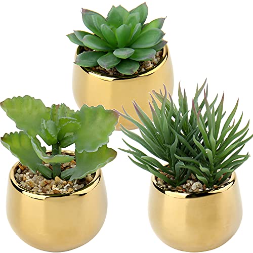 Photo 1 of Briful Small Artificial Succulents in Pots Set of 3 Realistic Faux Succulents Plants with Gold Ceramic Pots Cute Mini Fake Plants Decor for Modern Home Table Office Desk Bathroom Shelf Decoration Style #09