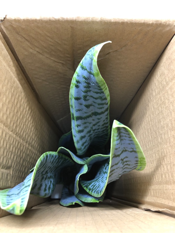 Photo 3 of 21.5" Artificial Snake Plant Faux Sansevieria Plants Tropical Fake Plants in White Pot Greenery Plant Perfect for Home Office Living Room Housewarming Gifts Indoor Outdoor Decor-Green Green-21.5